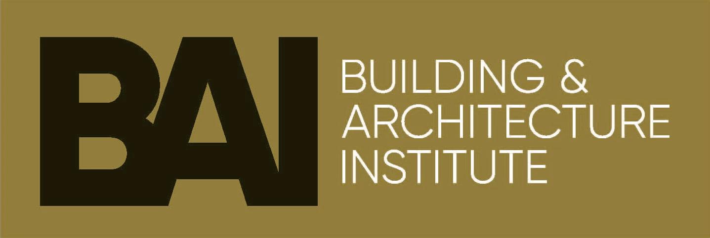 BAI Institute Presentation