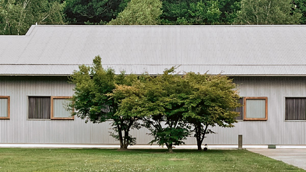 Programa de actividades del Instituto BAI 