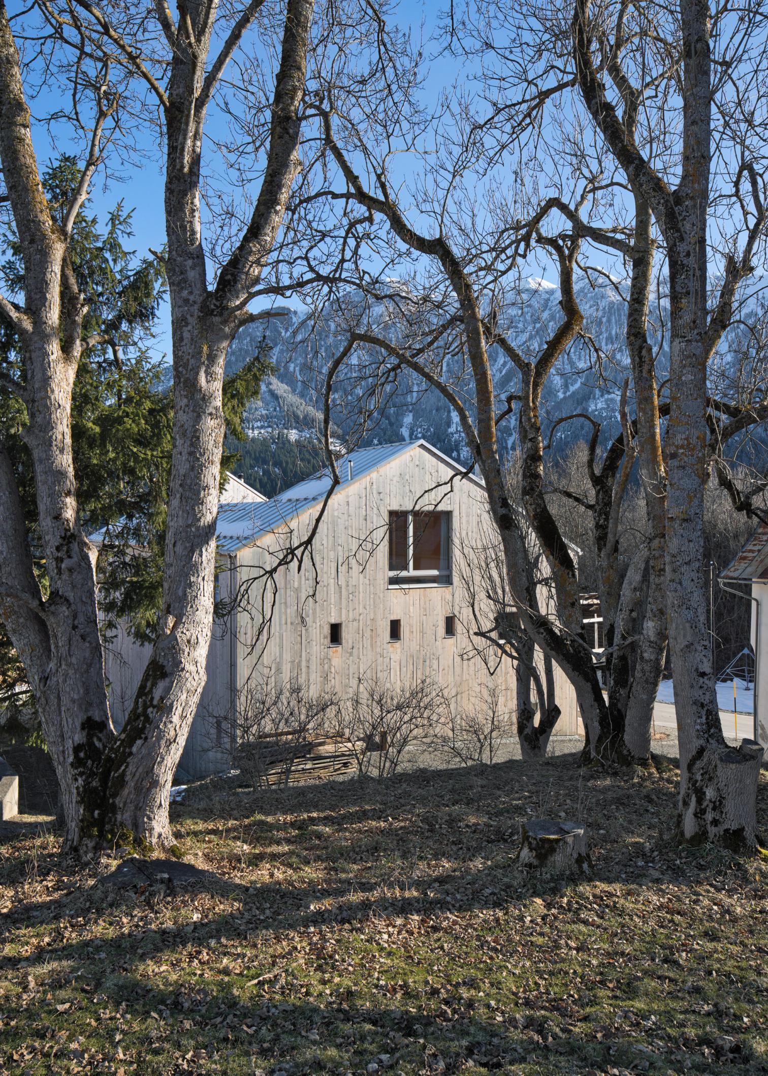 Residential and Studio House Lind in Urmein (Switzerland)